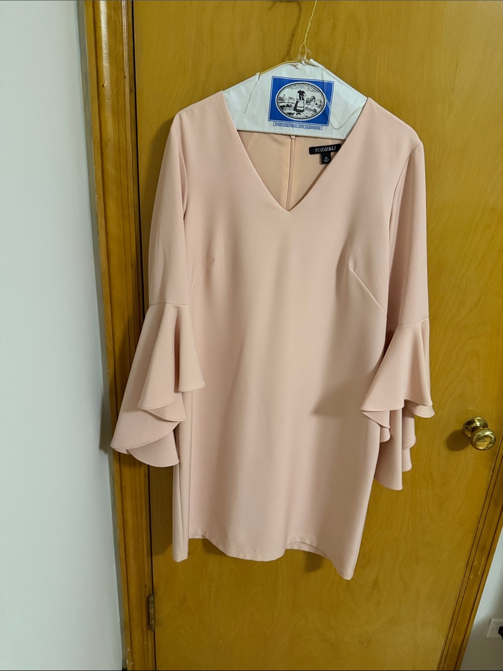 Roz & Ali Pale Pink V-Neck Dress with Layered Bell Sleeves